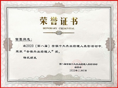 安徽星星集团总裁管蕾荣获安徽十大杰出经理人称号